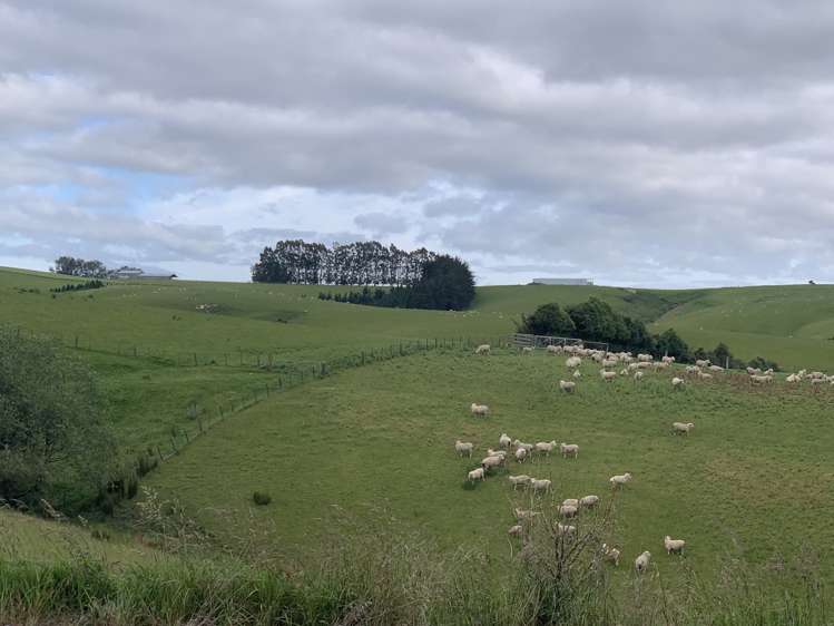 120 Benhar Road Balclutha_12