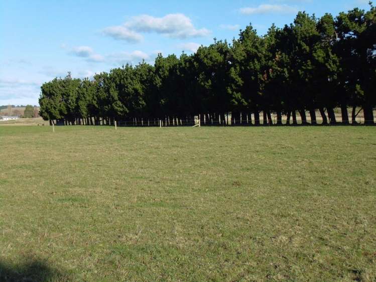 4 Murphy Street Palmerston_6