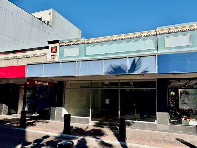 65 Emerson Street Napier South_4