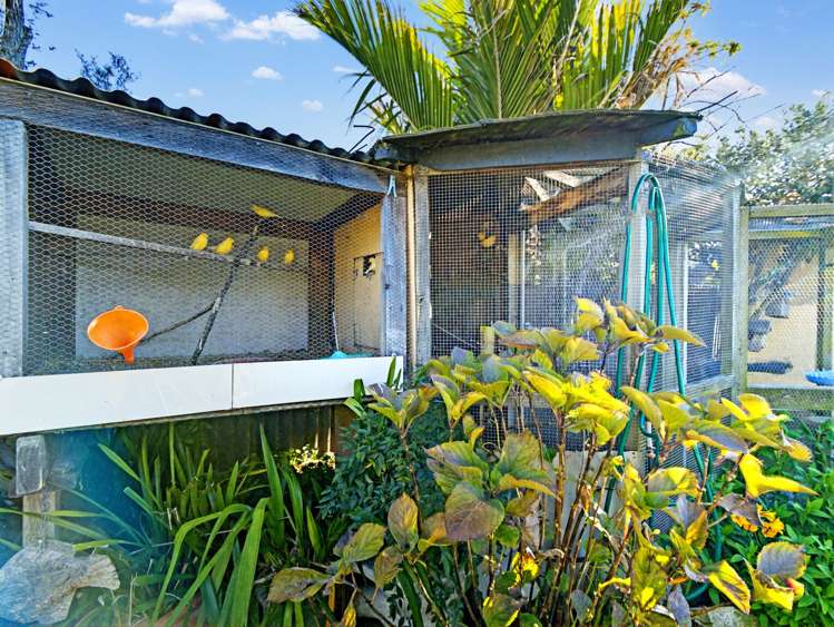 1107 Heretaunga Street East Parkvale_14