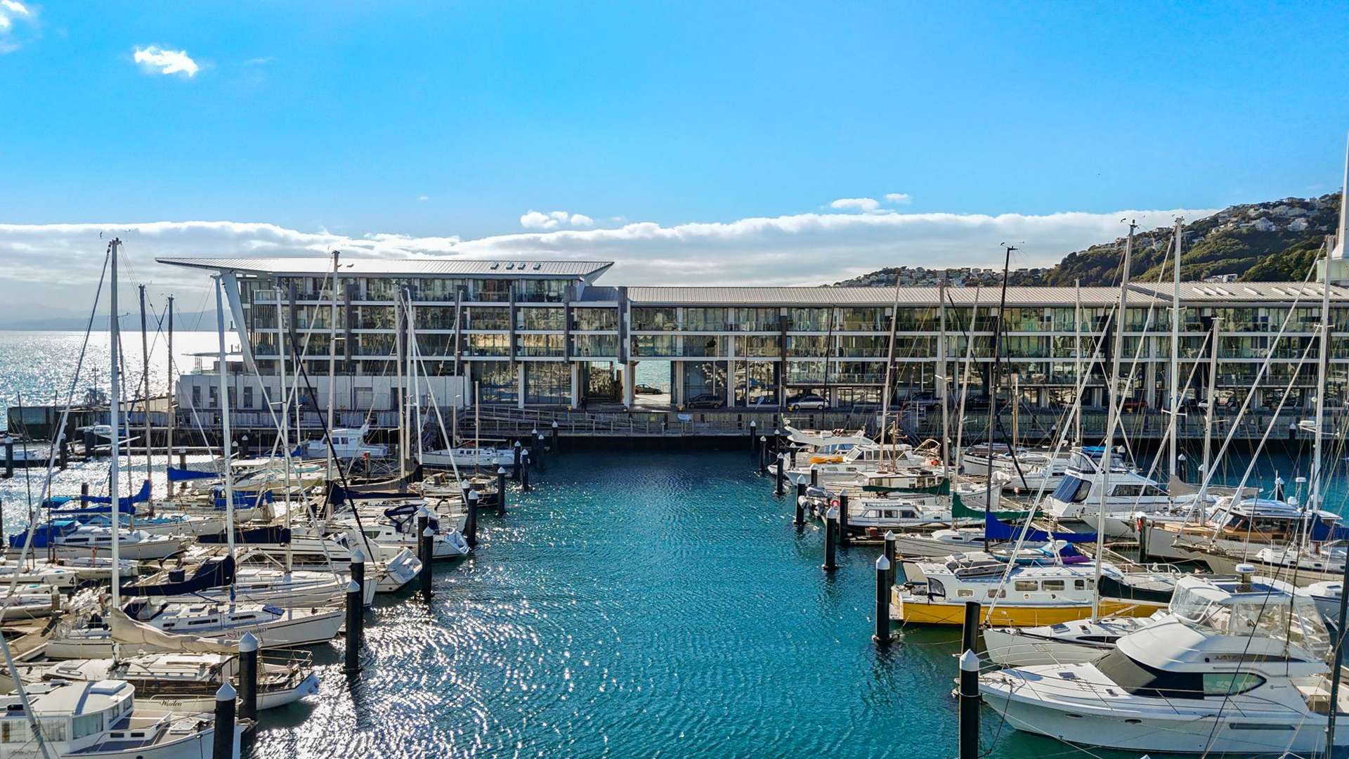 3C/1 Clyde Quay Wharf Te Aro_0