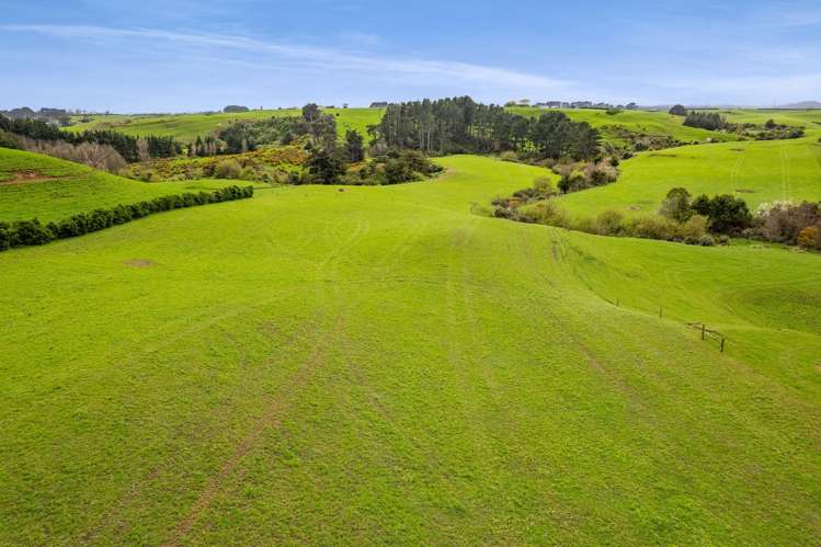 2A Ropata Street Hawera_7
