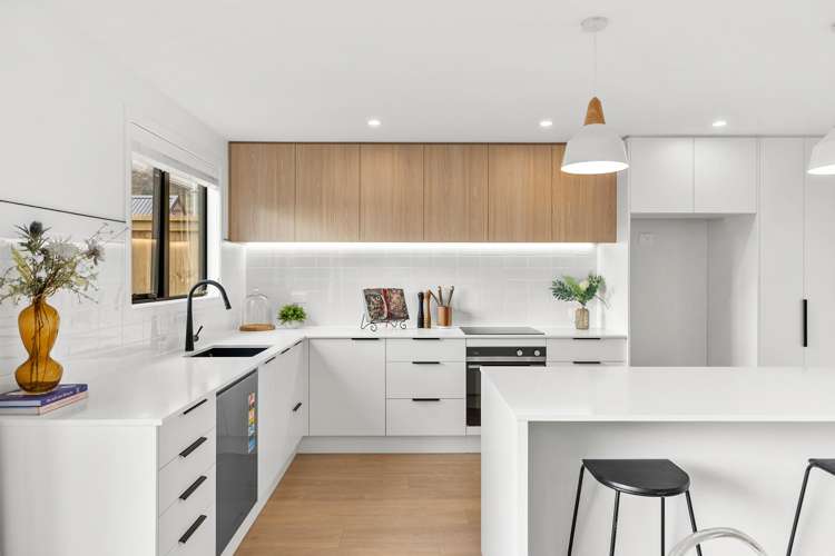 64 Little Owl Loop_1