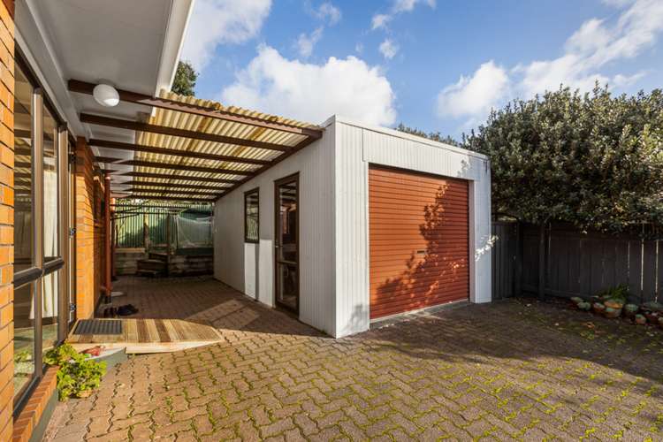 14l Cradock Street Avondale_20