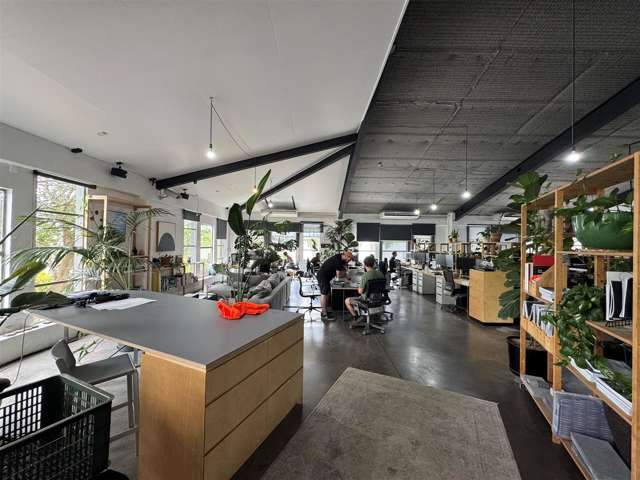 21 Scanlan Street Grey Lynn_1