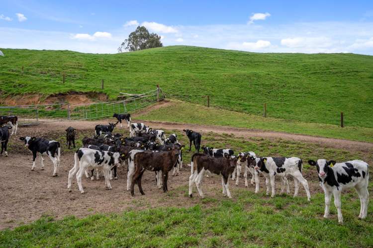 2253 State Highway 30 Atiamuri_22