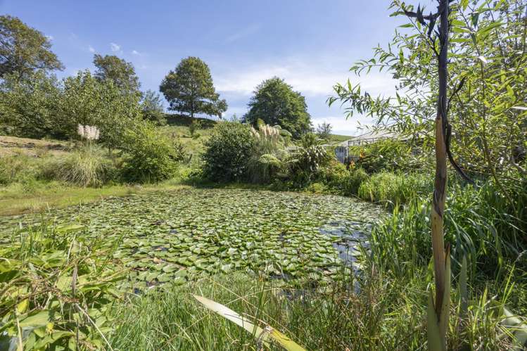 712 Tahekeroa Road Tahekeroa_24