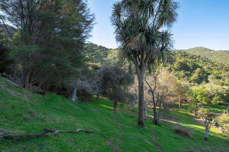 Lots 1, 3, 14 and 15 Lochmara Bay Marlborough Sounds_37