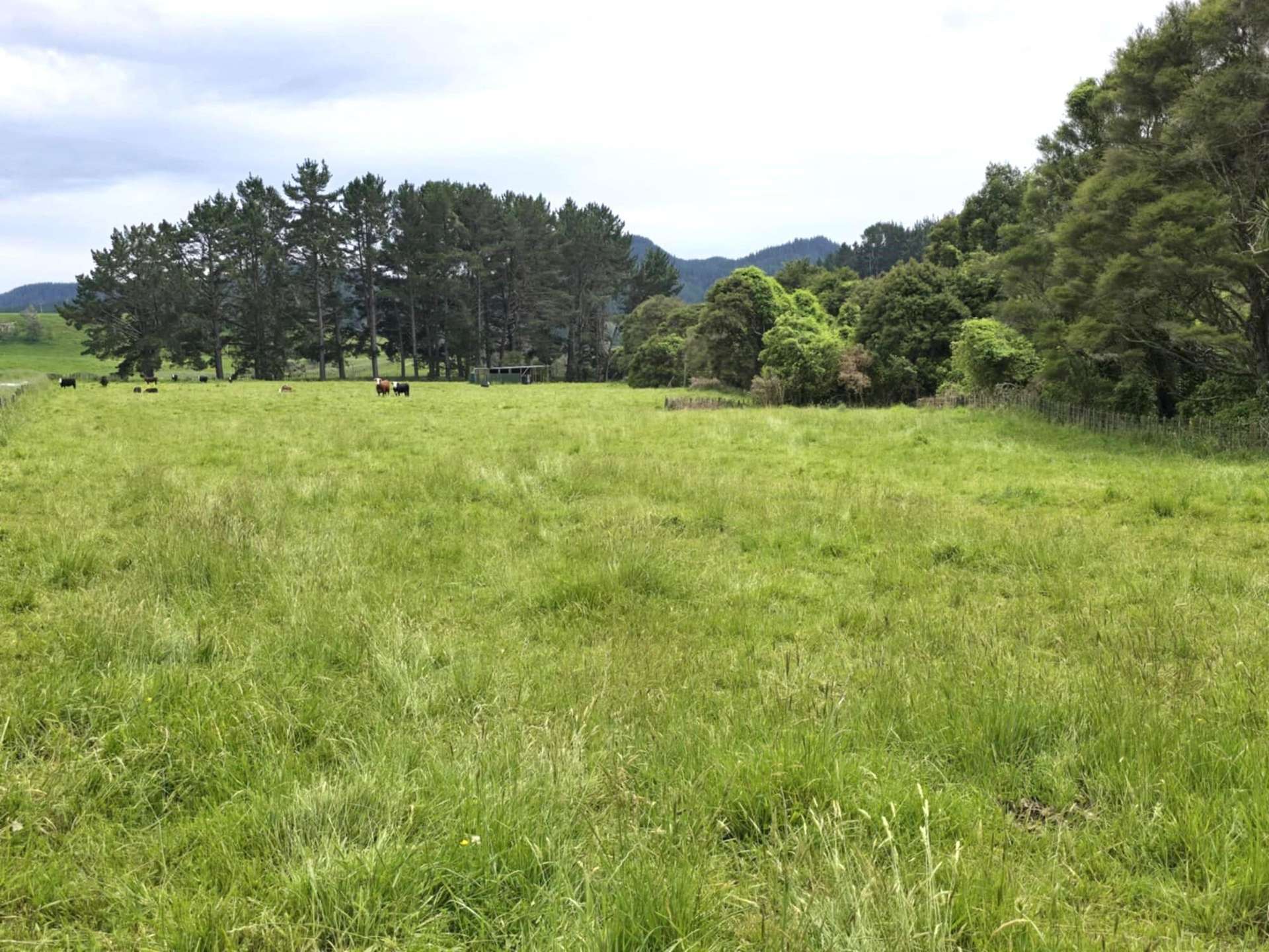 Lot 7 Turakina Valley Road Hunterville_0