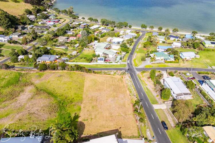 Oxford Street Whakapirau_9