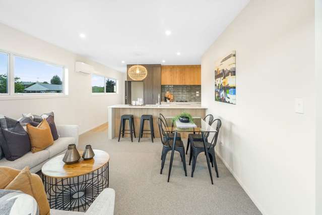 171b Rimu Street Maeroa_2