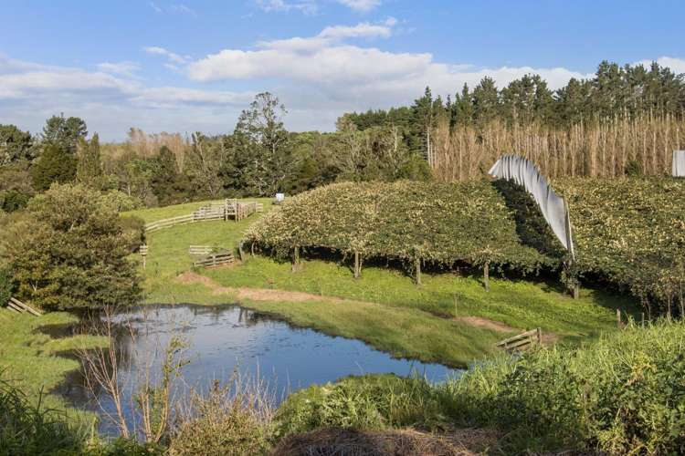 175 Busby Road Katikati_6