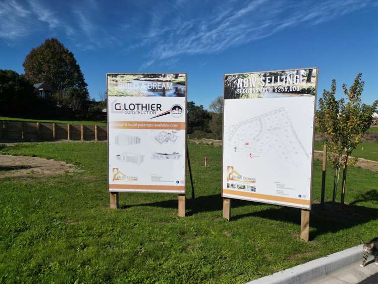 ** Ruru Downs Putaruru_8