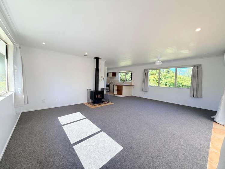 1164 No 3 Road Te Puke_9