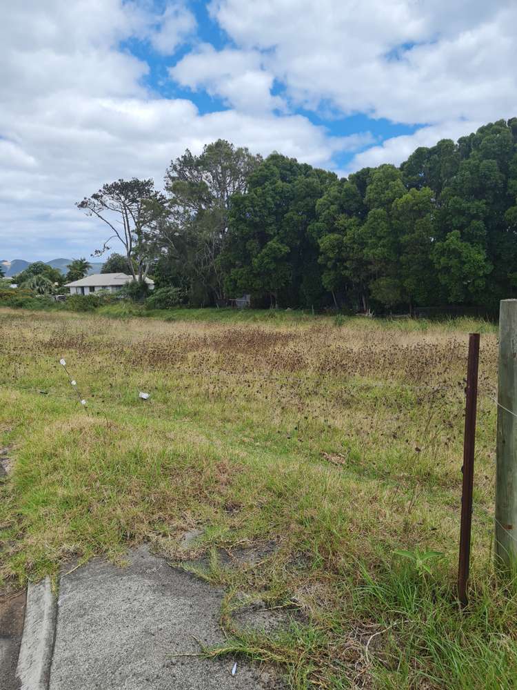 Lot 16 Albatross Alley Ahipara_11