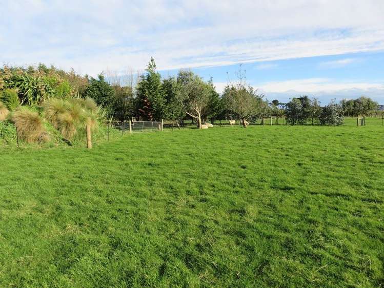 40 Ackers Road New River Ferry_20