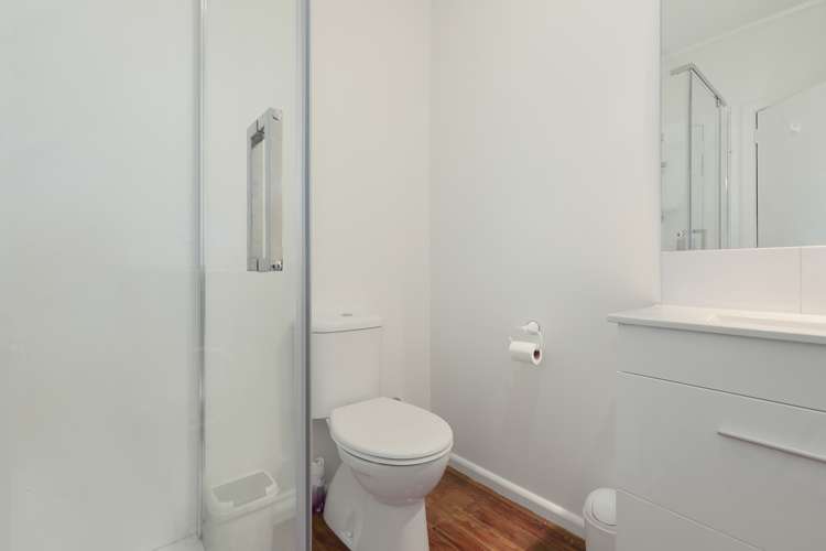 54 English Street Sockburn_14