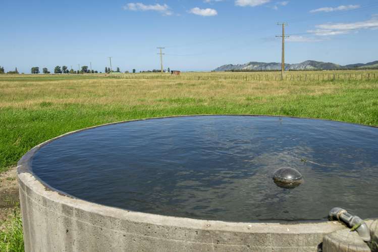 1343 Wharerata Road Muriwai_15