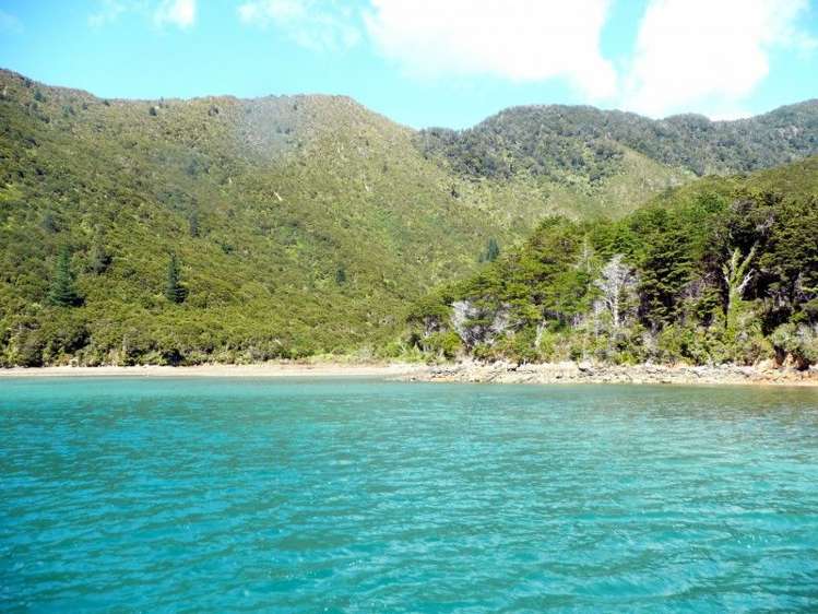 North West Bay Marlborough_15