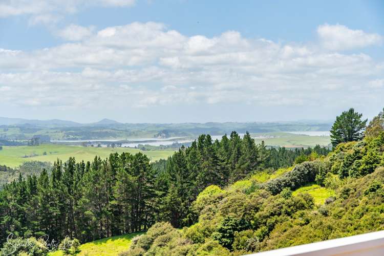 827 Tinopai Road Tinopai_40