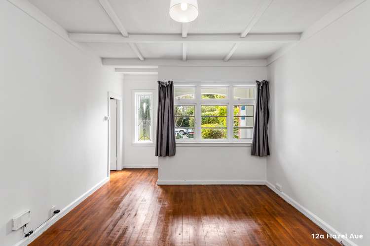 12a Hazel Avenue Mount Roskill_14