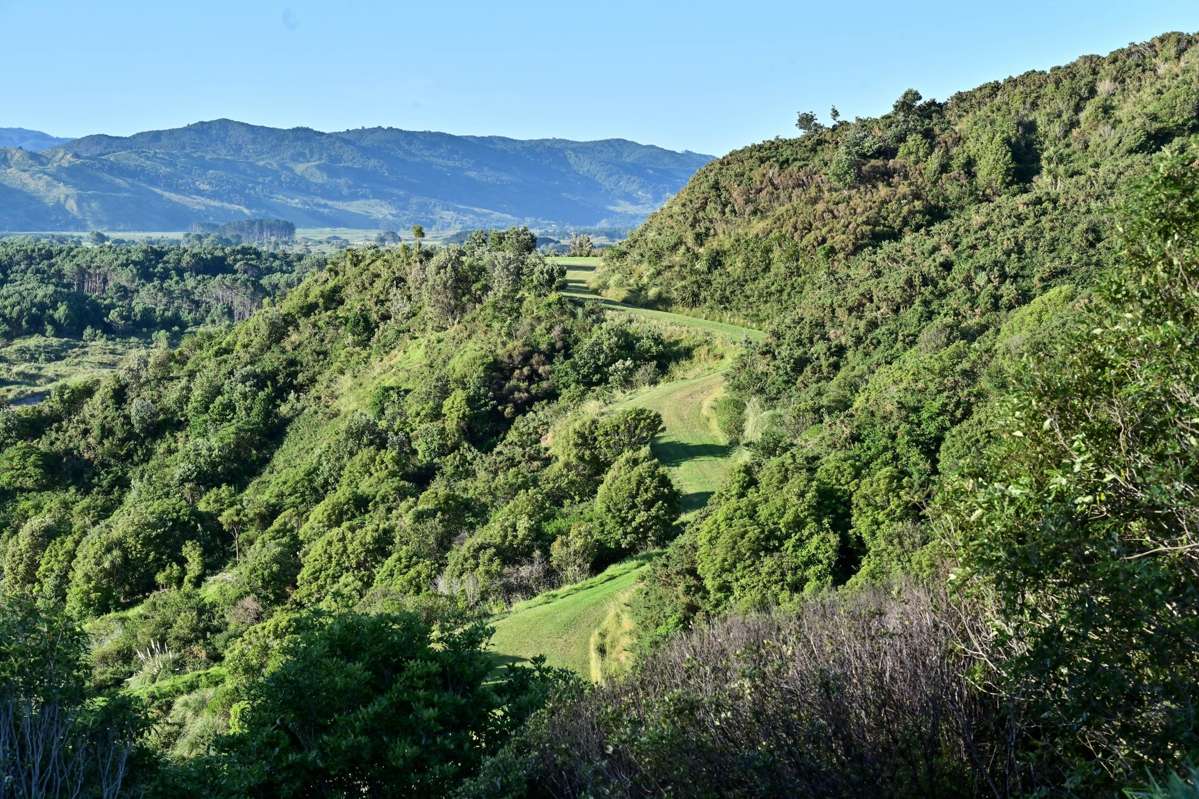 1 Newcastle Street sections_1