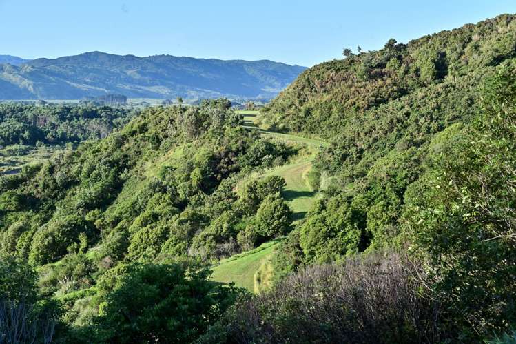 1 Newcastle Street sections Māhia_5