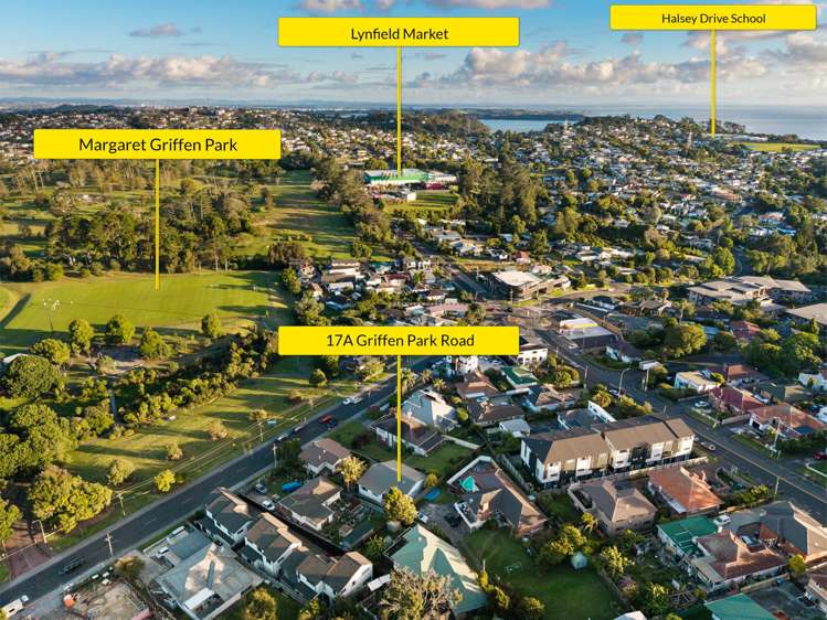17A Griffen Park Road Mount Roskill_33