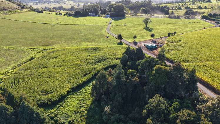 664a Te Pua Road Kaikohe_34