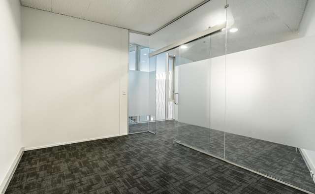 Suite 1/8A Cleveland Rd Parnell_2