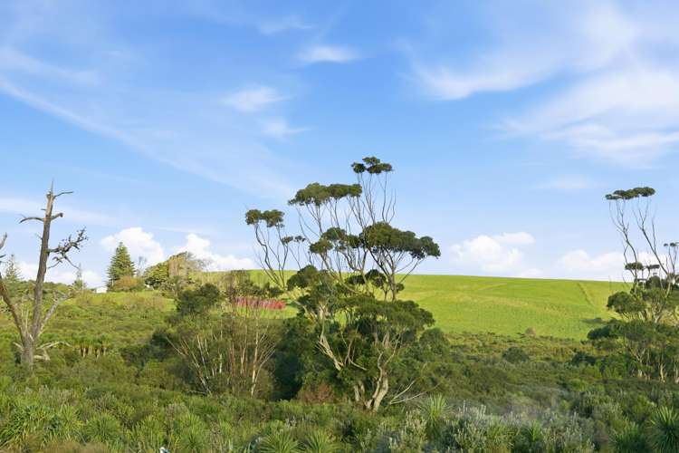 5 Luff Place Long Bay_35