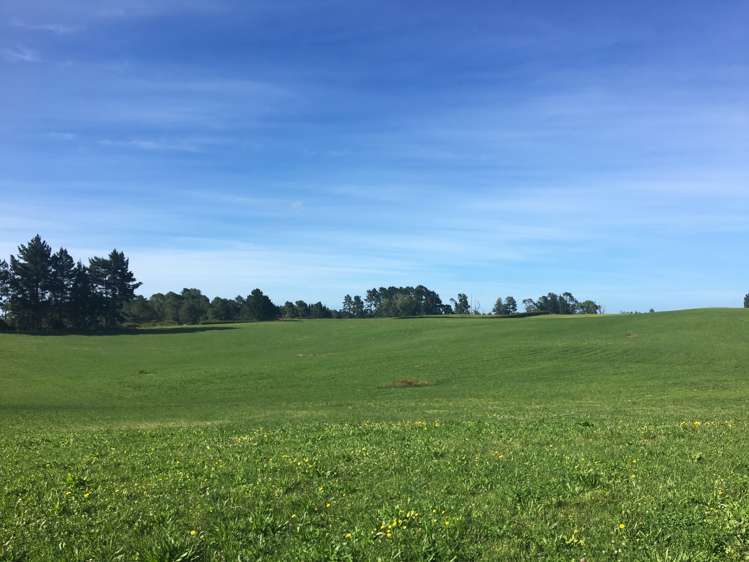 240 Bayly Road South Waikato_10