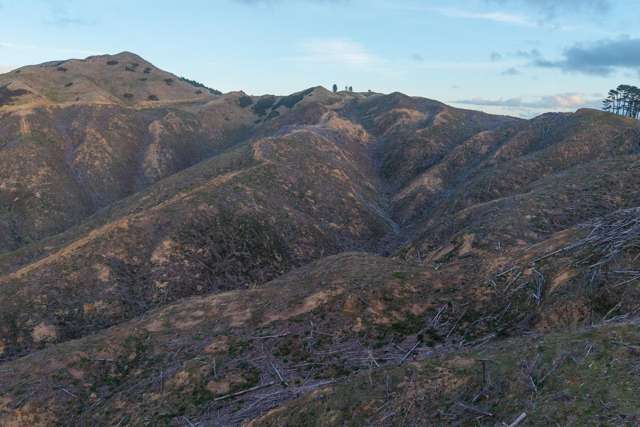 1227B Paekakariki Hill Road Paekakariki_1