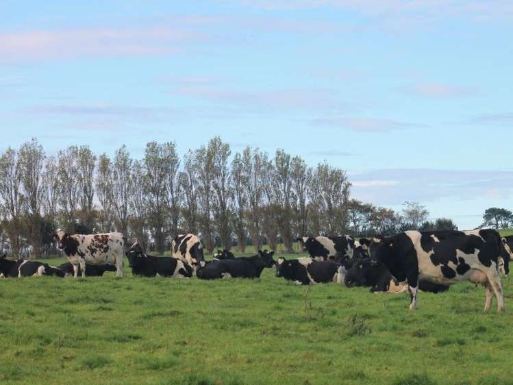 59 Oware Road Catlins Surrounds_6