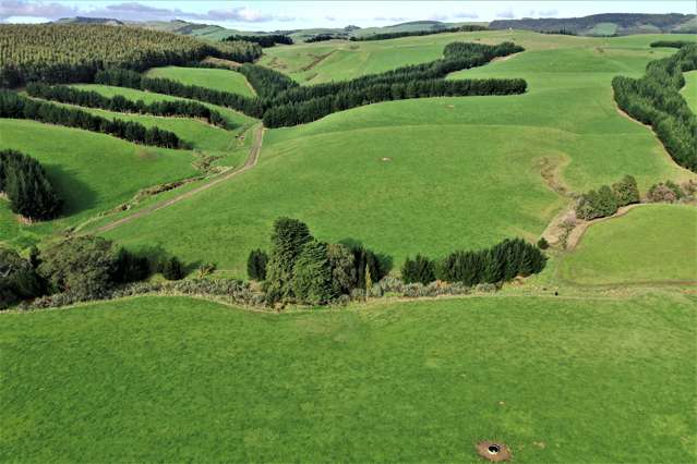 906 Waimahaka Fortification Road Fortification_4