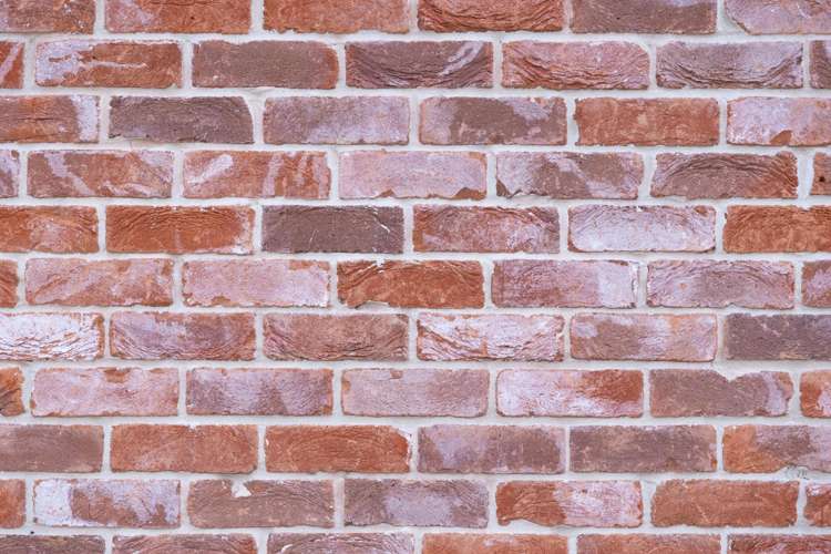 1/92 Tennyson Street Beckenham_15