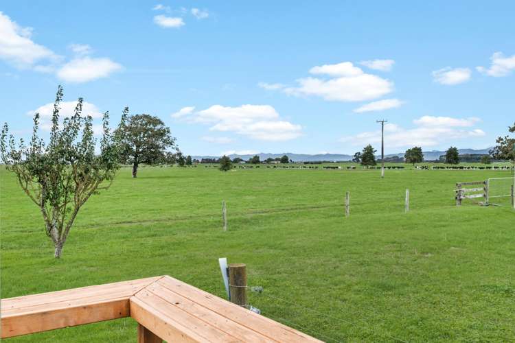 1184 No 1 Road Springdale_16