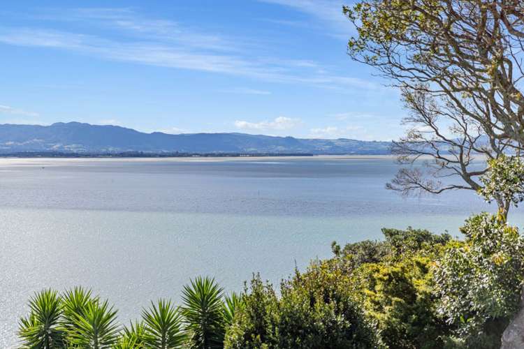 1 Bramley Drive Omokoroa_9