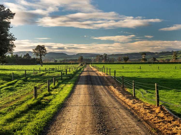 Kahutara Road Pirinoa_14