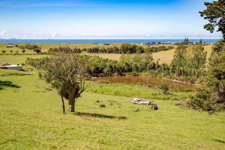 1905 Pataua North Road Pataua_11