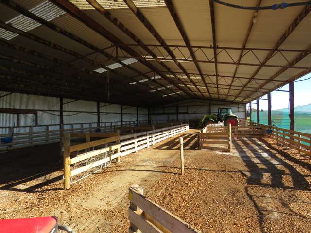 1374 Waimea Valley Road Nine Mile_2