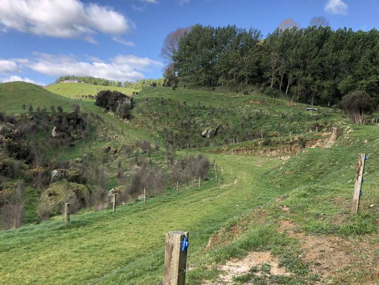 428 Whatauri Road Wharepapa South_25