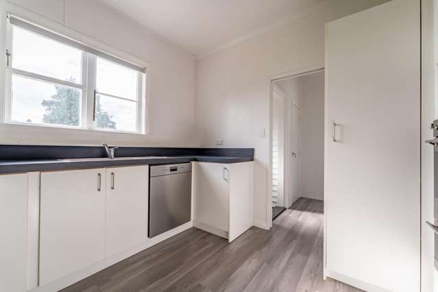 70 Ronaldsay Street Palmerston_1