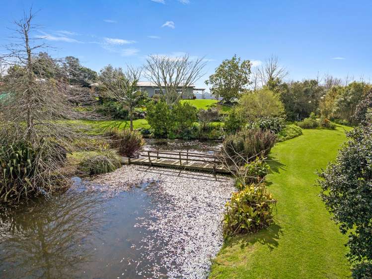 320 Kaiwaka-Mangawhai Road_2