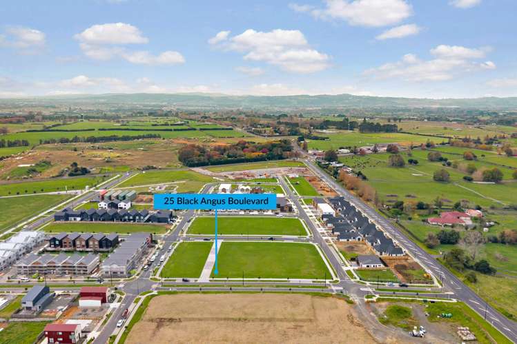 25 Black Angus Boulevard Karaka_8