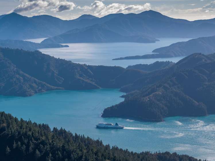 Queen Charlotte Forest, Onapua Bay Marlborough Sounds_7