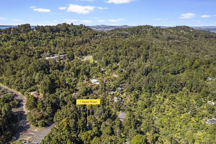 1 Ngaio Road Titirangi_20