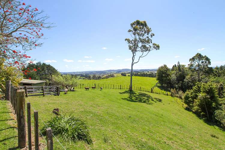 399 Horseshoe Bush Road Dairy Flat_18