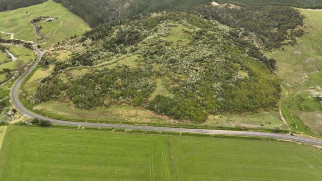 Lifestyle Opportunity