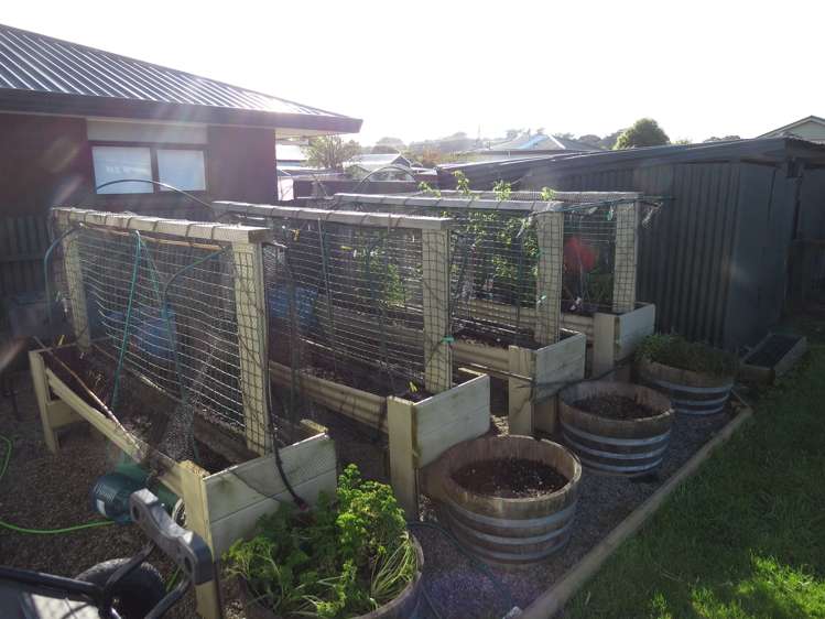 83 Sedcole Street Pahiatua_6